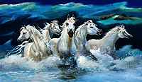 White Horses Of The Camargue